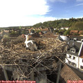 17_55-nest.jpg