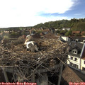 18_10-nest.jpg