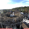 18_35-nest.jpg