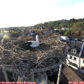 19_00-nest.jpg