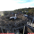 19_30-nest.jpg