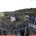 19_35-nest.jpg