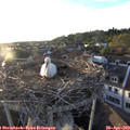19_40-nest.jpg