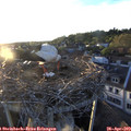 19_55-nest.jpg