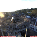 20_00-nest.jpg
