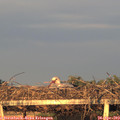 20_05-mast.jpg