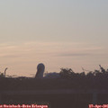 06_20-mast.jpg