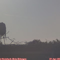 07_30-mast.jpg