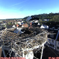 07_30-nest.jpg