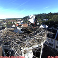 07_40-nest.jpg