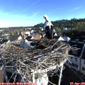 07_45-nest.jpg