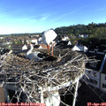07_50-nest.jpg