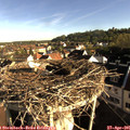 07_55-nest.jpg