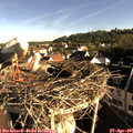 08_00-nest.jpg