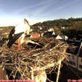 08_05-nest.jpg