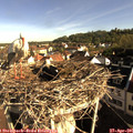 08_30-nest.jpg