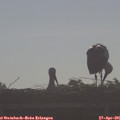 08_40-mast.jpg
