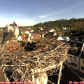 08_40-nest.jpg