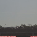 08_50-mast.jpg