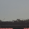 08_55-mast.jpg