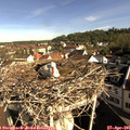 09_00-nest.jpg