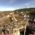 09_05-nest.jpg