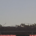 09_10-mast.jpg
