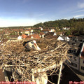 09_15-nest.jpg