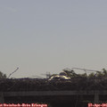 09_35-mast.jpg