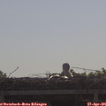 09_40-mast.jpg