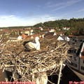 09_40-nest.jpg