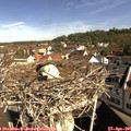 09_45-nest.jpg
