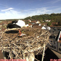 09_55-nest.jpg