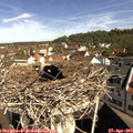 10_00-nest.jpg