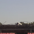 10_05-mast.jpg