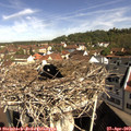 10_05-nest.jpg
