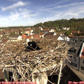 10_10-nest.jpg