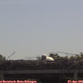 10_15-mast.jpg