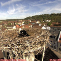 10_15-nest.jpg