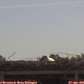 10_20-mast.jpg