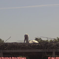 10_25-mast.jpg