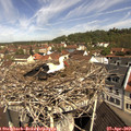 10_45-nest.jpg