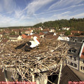 10_50-nest.jpg