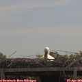 12_00-mast.jpg