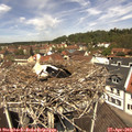 12_10-nest.jpg