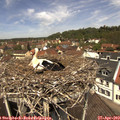 12_20-nest.jpg