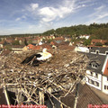 12_25-nest.jpg