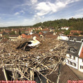 12_30-nest.jpg