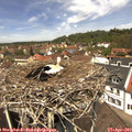 12_35-nest.jpg