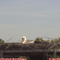 12_40-mast.jpg